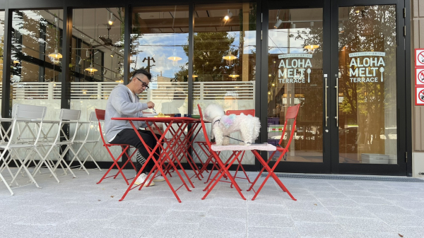 今日のランチは特別？ぴなと社長のほっこり時間